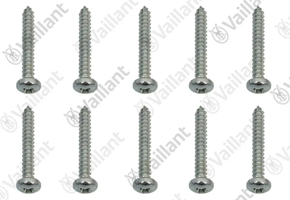Vaillant Schrauben in einer Packung mit zehn Stück, metallisch glänzend, mit Schneckengewinde und flachen Köpfen angeordnet in zwei Reihen.